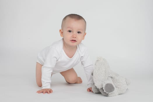 baby on a white background with a soft toy bunny