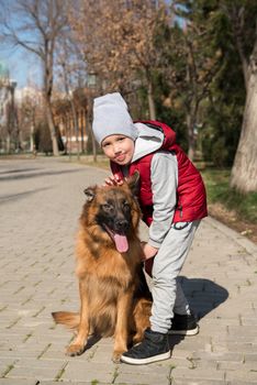 little boy playing with dog labrador in spring park