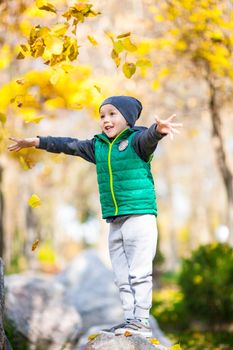 little boy in the park standing on a stone throws yellow leaves of trees in autumn