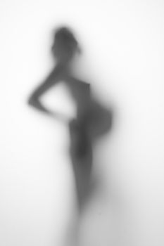 silhouette of a pregnant woman from the side on a light background