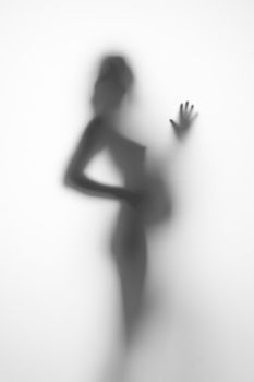 silhouette of a pregnant woman from the side on a light background