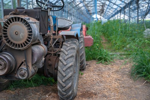 small old tractor for work in the field on an organic farm.