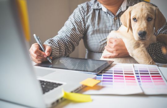 Designers and designers work at home by carrying puppies in their arms.