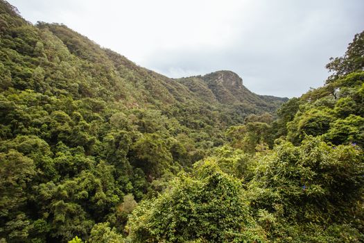 Views of rainforest and landscape from Kuranda Scenic Railway in Queensland, Australia