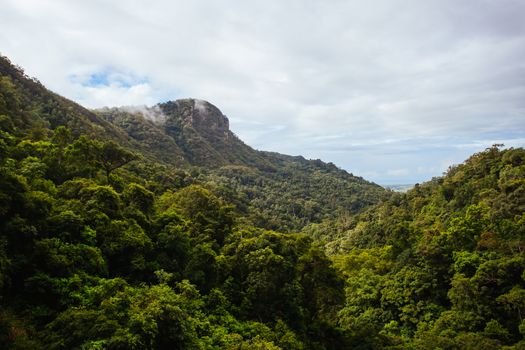 Views of rainforest and landscape from Kuranda Scenic Railway in Queensland, Australia