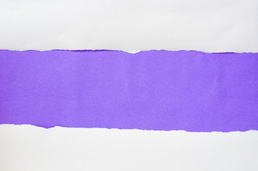 The paper is torn on a purple background and there is a cutoff to the free space for your text.