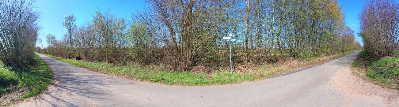 Beautiful high resolution panorama of a northern european country landscape with fields and green grass.