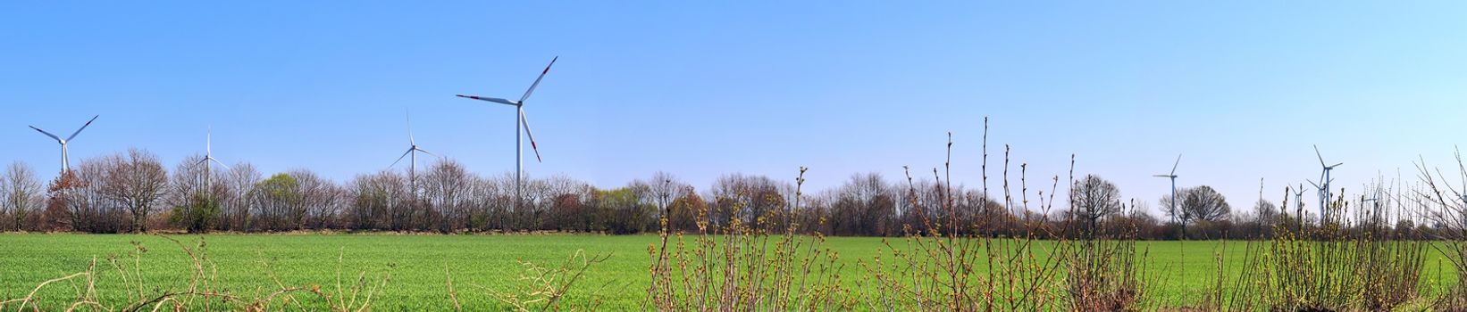 Beautiful high resolution panorama of a northern european country landscape with fields and green grass.