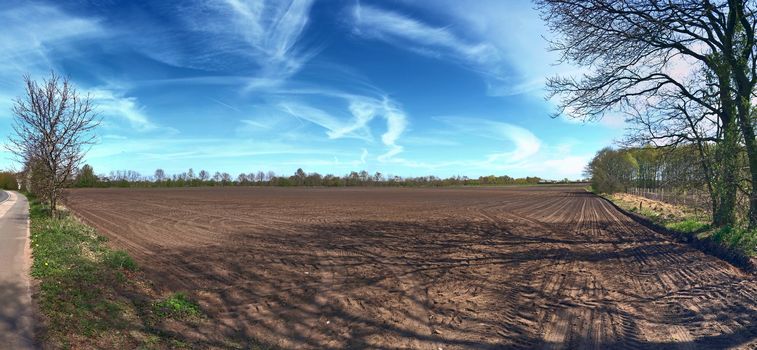 Beautiful high resolution panorama of a northern european country landscape with fields and green grass.