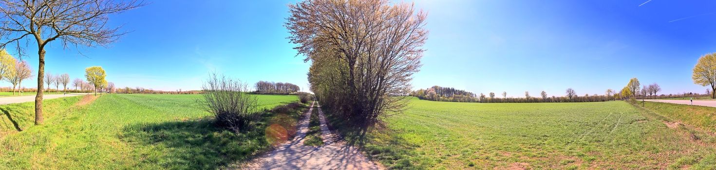 Beautiful high resolution panorama of a northern european country landscape with fields and green grass.