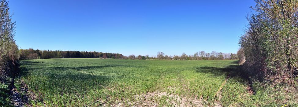 Beautiful high resolution panorama of a northern european country landscape with fields and green grass.