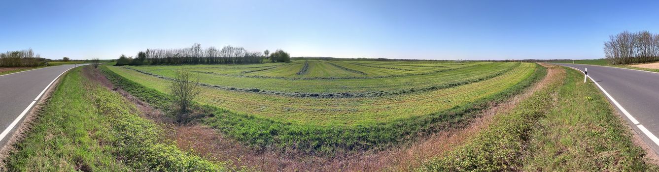 Beautiful high resolution panorama of a northern european country landscape with fields and green grass.