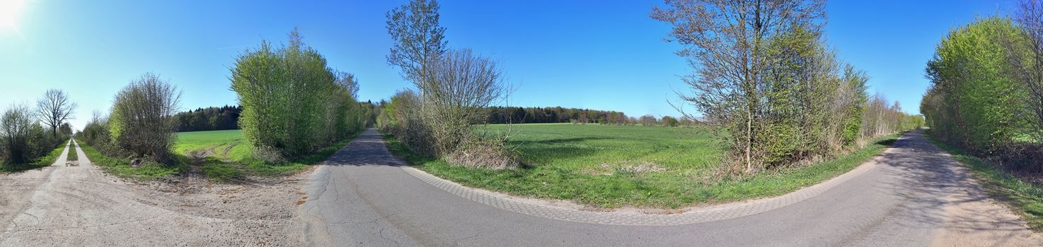 Beautiful high resolution panorama of a northern european country landscape with fields and green grass.