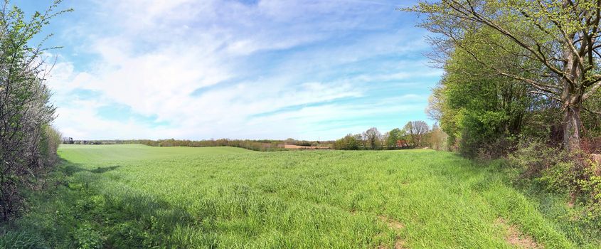 Beautiful high resolution panorama of a northern european country landscape with fields and green grass.