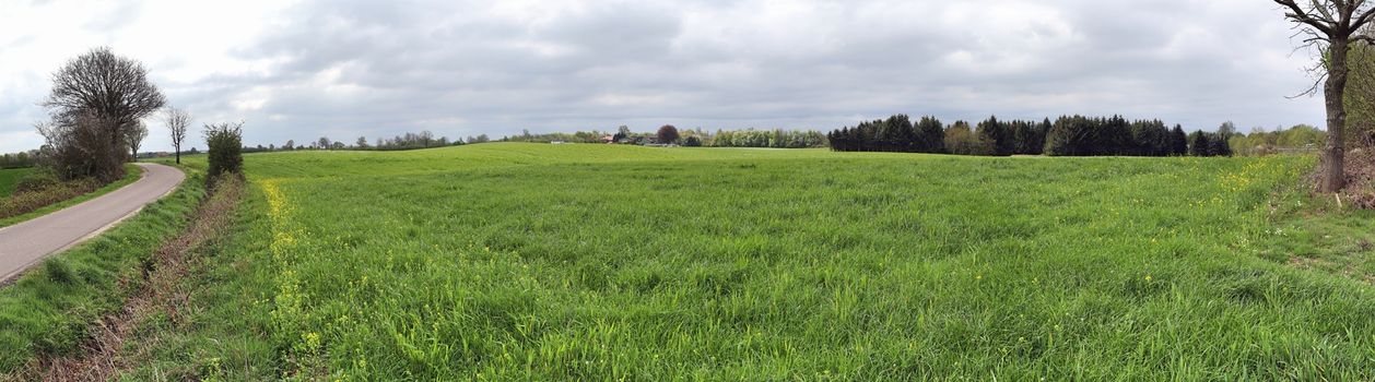 Beautiful high resolution panorama of a northern european country landscape with fields and green grass.