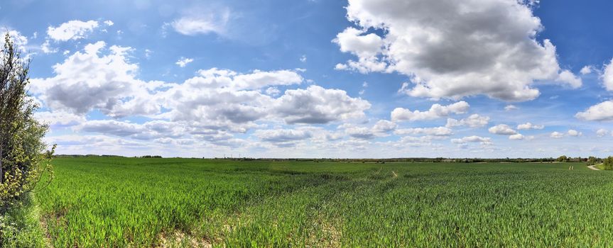 Beautiful high resolution panorama of a northern european country landscape with fields and green grass.