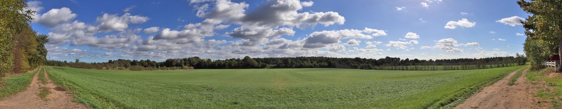 Beautiful high resolution panorama of a northern european country landscape with fields and green grass.