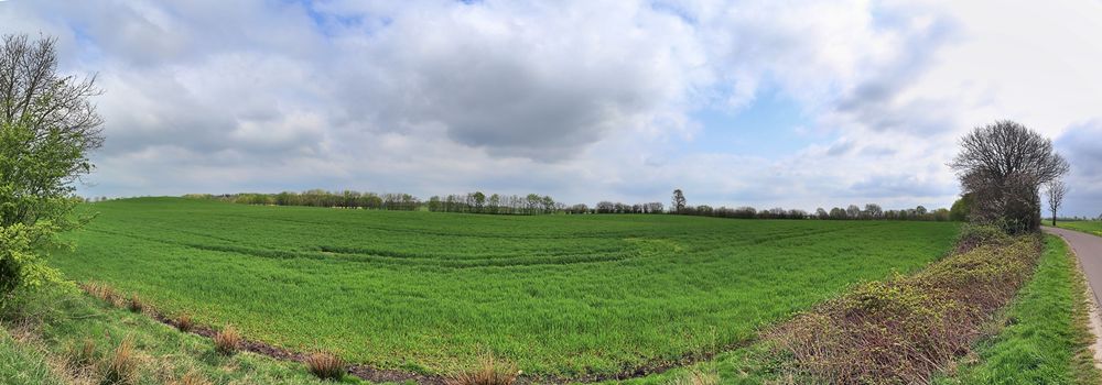 Beautiful high resolution panorama of a northern european country landscape with fields and green grass.