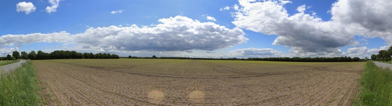 Beautiful high resolution panorama of a northern european country landscape with fields and green grass.