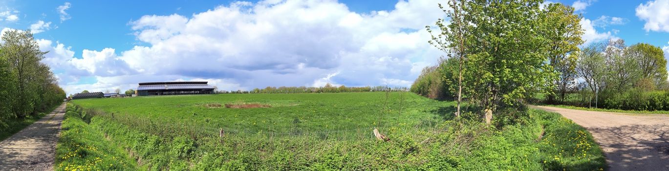 Beautiful high resolution panorama of a northern european country landscape with fields and green grass.