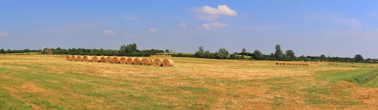 Beautiful high resolution panorama of a northern european country landscape with fields and green grass.