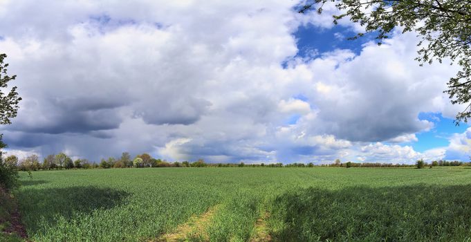 Beautiful high resolution panorama of a northern european country landscape with fields and green grass.