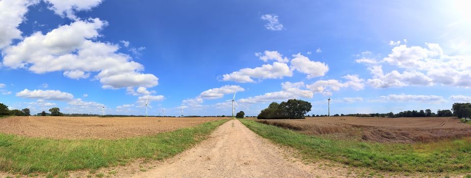 Beautiful high resolution panorama of a northern european country landscape with fields and green grass.