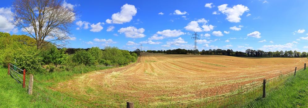 Beautiful high resolution panorama of a northern european country landscape with fields and green grass.