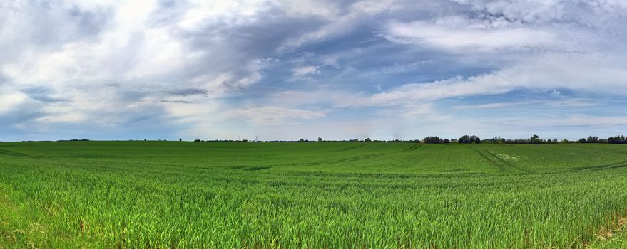 Beautiful high resolution panorama of a northern european country landscape with fields and green grass.