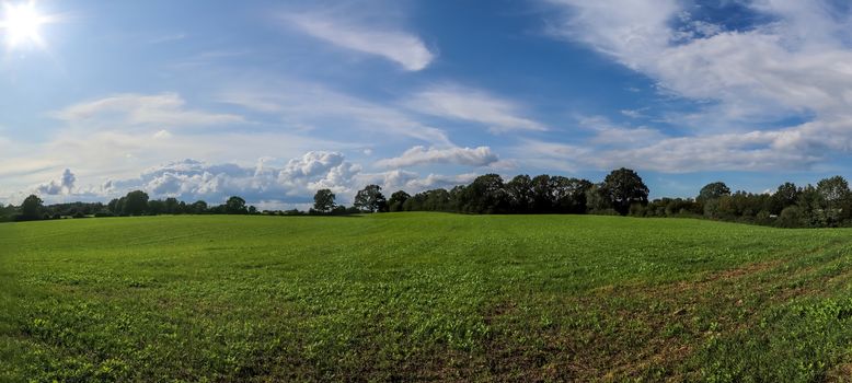 Beautiful high resolution panorama of a northern european country landscape with fields and green grass.