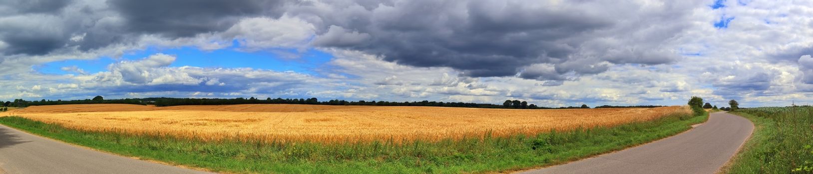 Beautiful high resolution panorama of a northern european country landscape with fields and green grass.