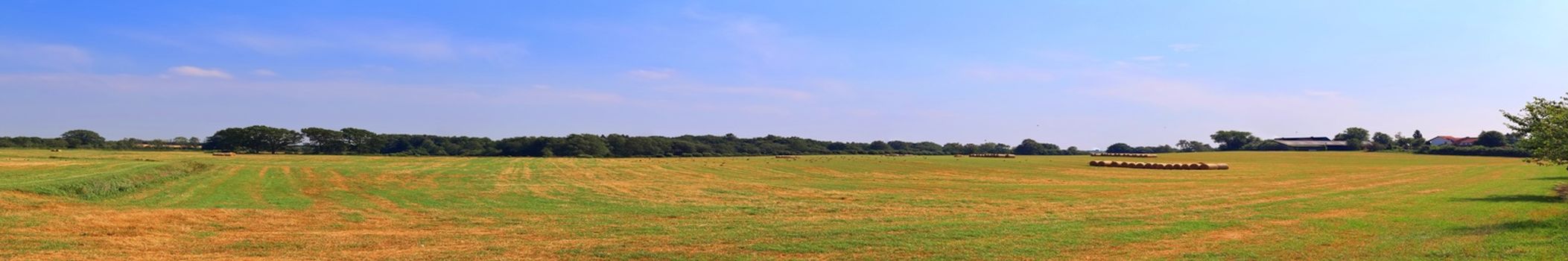 Beautiful high resolution panorama of a northern european country landscape with fields and green grass.