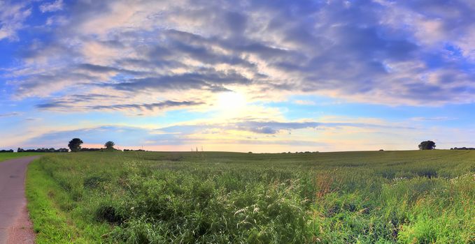 Beautiful high resolution panorama of a northern european country landscape with fields and green grass.