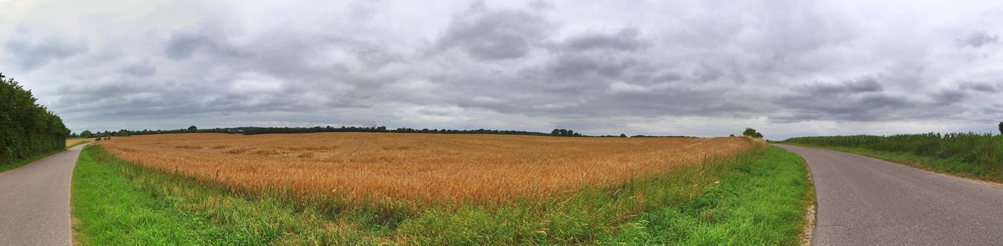 Beautiful high resolution panorama of a northern european country landscape with fields and green grass.