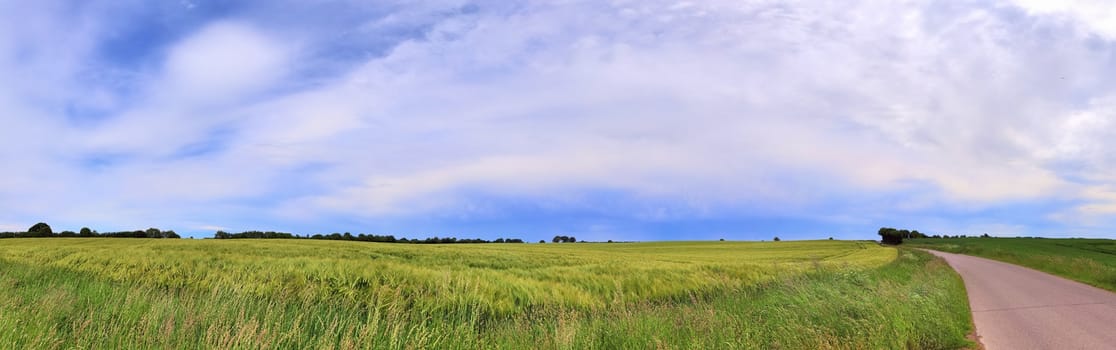 Beautiful high resolution panorama of a northern european country landscape with fields and green grass.