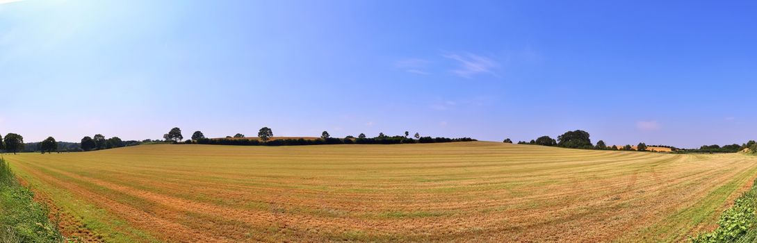 Beautiful high resolution panorama of a northern european country landscape with fields and green grass.