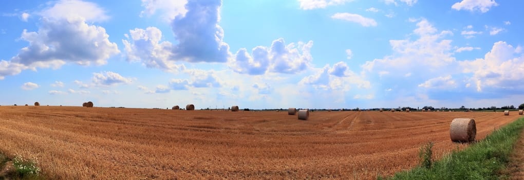 Beautiful high resolution panorama of a northern european country landscape with fields and green grass.