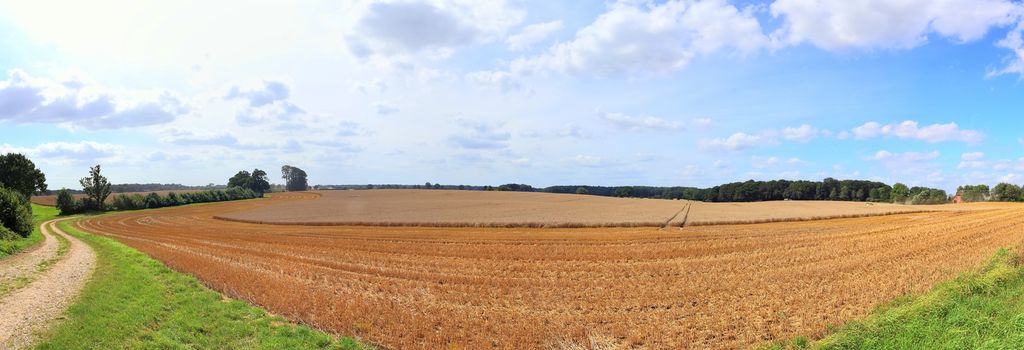 Beautiful high resolution panorama of a northern european country landscape with fields and green grass.