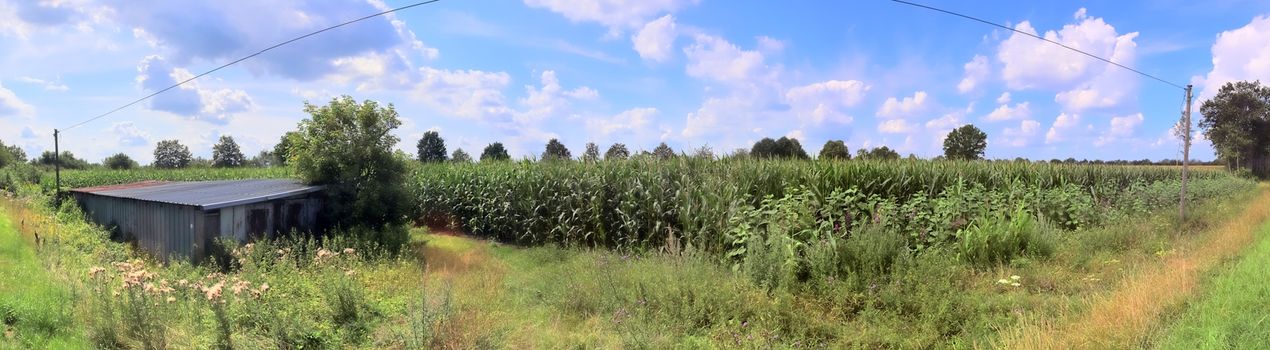 Beautiful high resolution panorama of a northern european country landscape with fields and green grass.