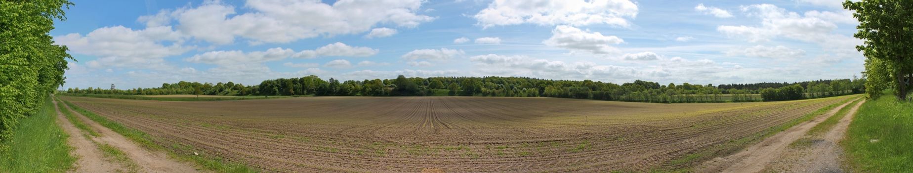 Beautiful high resolution panorama of a northern european country landscape with fields and green grass.