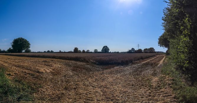 Beautiful high resolution panorama of a northern european country landscape with fields and green grass.