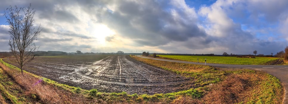 Beautiful high resolution panorama of a northern european country landscape with fields and green grass.