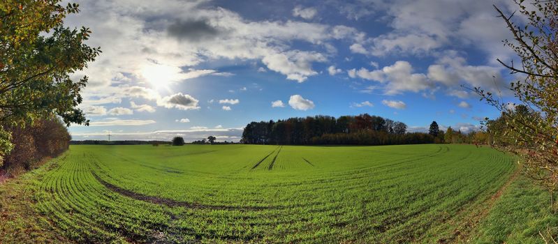 Beautiful high resolution panorama of a northern european country landscape with fields and green grass.