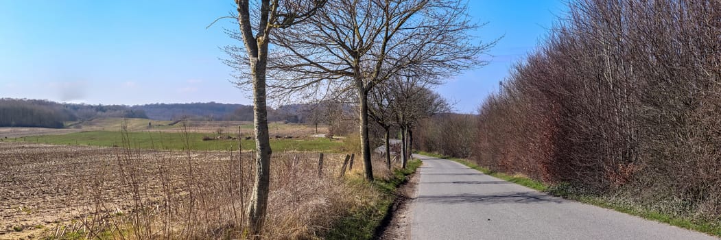 Beautiful high resolution panorama of a northern european country landscape with fields and green grass.