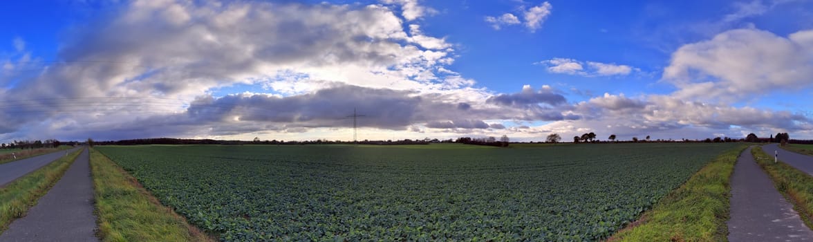 Beautiful high resolution panorama of a northern european country landscape with fields and green grass.