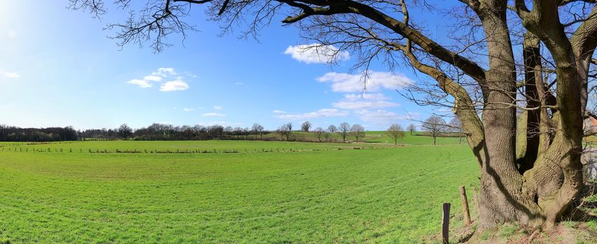 Beautiful high resolution panorama of a northern european country landscape with fields and green grass.