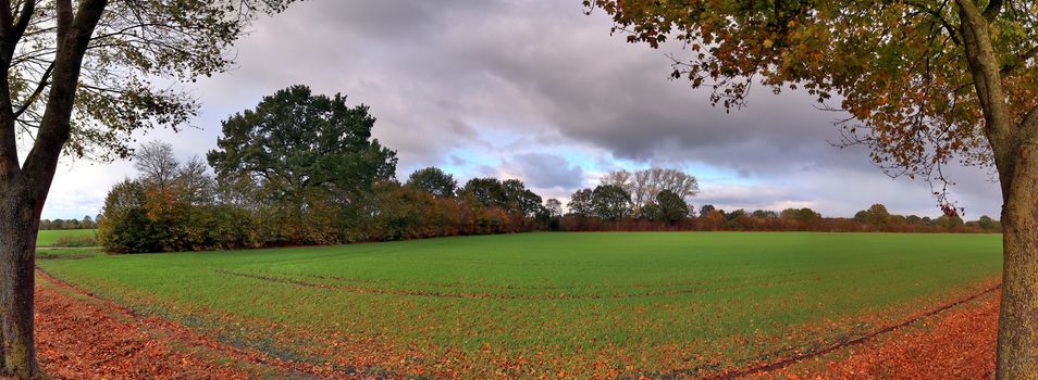 Beautiful high resolution panorama of a northern european country landscape with fields and green grass.