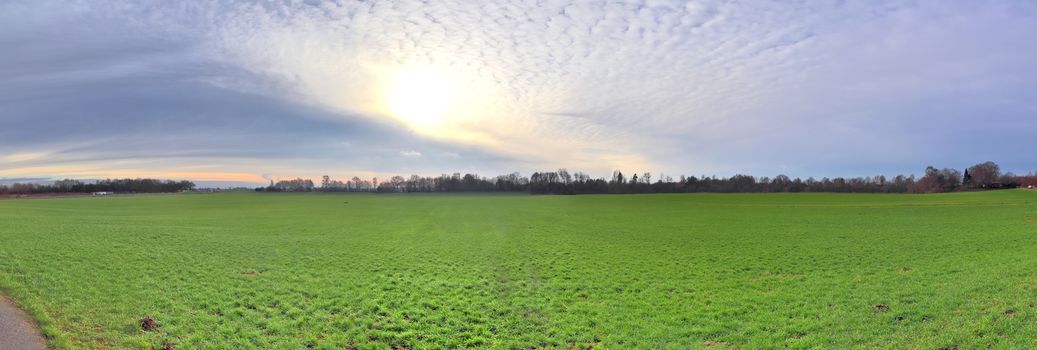 Beautiful high resolution panorama of a northern european country landscape with fields and green grass.