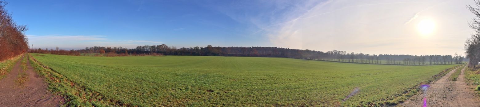 Beautiful high resolution panorama of a northern european country landscape with fields and green grass.