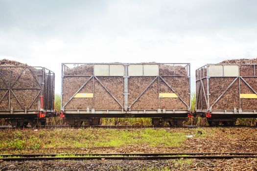 A sugar cane locomotive train near the Daintree in far north Queensland, Australia